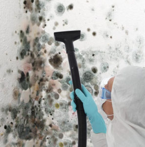 Mold-Inspector-Bothell-WA 